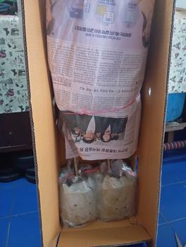 Product Review of ต้นกุหลาบงาน2ต้น ต่อ1รหัส from 🩷**🥀 0