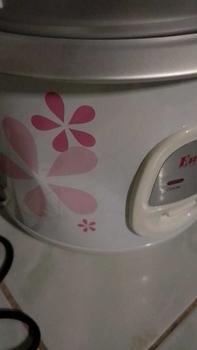 Product Review of Eureka Rice Cooker with Steamer  1.0L & 1.5L & 1.8L Random Color from R**n D**a 0
