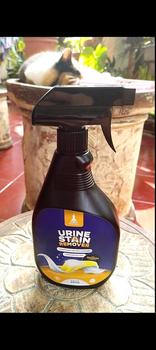 Product Review of Racoon Urine Stain Remover / Pembersih Noda Pipis Hewan Peliharaan pe wangi kucing dan Anjing from P**o T**k I**o 0
