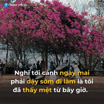 Product Review of Khăn lụa hoa nhí đen trắng kem đi biển thanh lịch 90x180cm Khăn Choàng Quàng Cổ Women from H**🐒 0