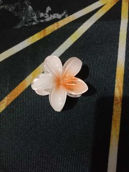 Product Review of Hawaiian Colorful Flower Hair Clip Fashion Flower Hair Clips Girls Acrylic Hairpin Summer Beach Hairpin Barrettes Accessories Hairpin Barrettes Fashion Accessories from c**e m**s 2