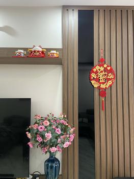 Product Review of 【Hot】 Hũ Tiết Kiệm Mèo Kèm Thảm Decor Decor Phòng Ống Heo Đựng Tiền Ống Tiết Kiệm from O**h ** 0