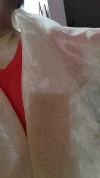 Product Review of modern filipiniana alampay wrap around embro and painting  pinya organza Floral Plain from L**p 0
