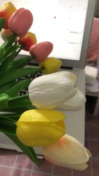 Product Review of Hoa Giả - Hoa Tulip nhiều màu sắc trang trí xinh xắn, nhẹ nhàng, phụ kiện decor phòng Hoa Sen from H**i T**g 0