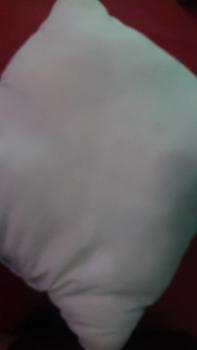 Product Review of Bantal Sofa / Bantal Ukuran 30x30 / 40x40 / 45x45 Warna Putih from s**d 0