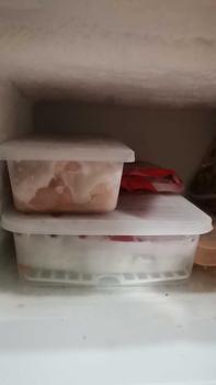 Product Review of ELI HOME Plastic Refrigerator Food Preservation Storage Drain Box Container with Lid Drain fresh-keeping box from ꧁**꧂ 0
