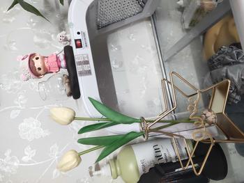Product Review of (Mộc Khuê Decor) - Bình hoa trang trí nghệ thuật - lọ hoa thủy tinh khung sắt mạ vàng hình ngôi sao trái tim hiện đại dùng cắm hoa trang trí tiệc cưới sinh nhật tuyệt đẹp Decor, Decor Phòng bình hoa  nối liền cổ đại from T**p 0