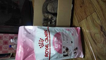 Product Review of Royal canin [1.2kg, 2kg] รอยัลคานินอาหารเม็ดสำหรับแมวเพื่อสุขภาพที่ดี from ไ**🐯 1