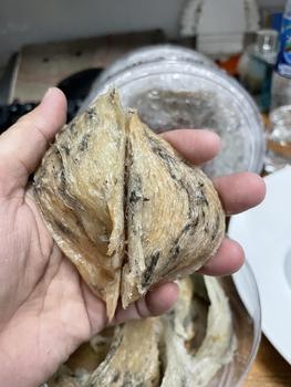 Product Review of Tổ Thô AB (tổ lớn) GIÀ ĐẸP ÍT LÔNG - Tổ Yến biển Miền Trung from M** c** M** ** 0