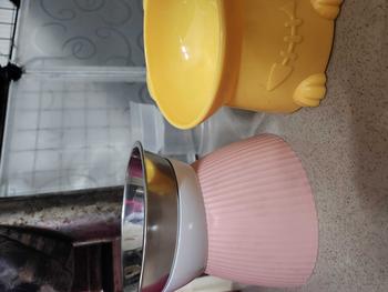 Product Review of Chén Ăn Chống Gù Dành Cho Thú Cưng - Bát Ăn Chống Gù Có Giá Đỡ Có Thể Tháo Rời from P** Y**g 1