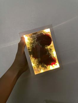 Product Review of 6inches/8inches/10inches/A4 3cm Depth Photo Hollow Frame Flower bouquet Wooden Frame Specimen Box Insect Display Case Display Decor Gift Minimalist from U**E 0