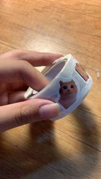 Product Review of Hình dán mèo Meme hoạt hình, 500 chiếc, Thích hợp cho phần thưởng học tập, đồ trang trí lớp học, hình dán khuyến khích, cho học sinh và giáo viên from Ế** k**🐸 0