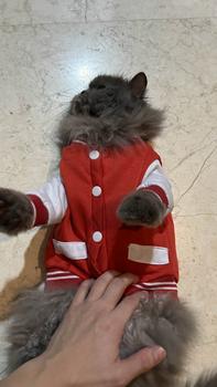 Product Review of baju kucing lucu aksesoris hewan peliharaan - BUKIPET BASIC VARSITY from L** L**g 1
