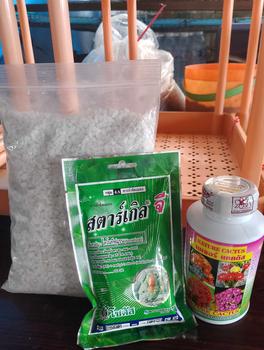 Product Review of ปุ๋ยน้ำแคคตัส Cactus Bloom ปุ๋ยน้ำกระบองเพชร 250 cc. from ❤**❤ 0