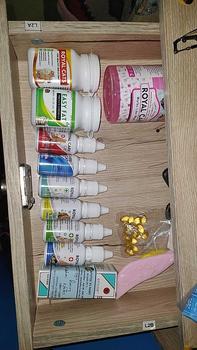 Product Review of Holycatlabs Paket Vitamin Kucing Gemuk Bulu Gondrong ala LEO KUCING from A**~ 0