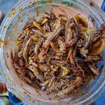 Product Review of CEMILAN EXTRIM /WALANG/BELALANG GORENG TOPLES PANJANG 210 GRAM Rendah lemak from M** G**n H**s 0