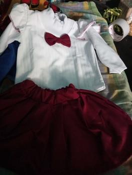 Product Review of Dress Knits Anak Perempuan usia 1-6 Tahun variasi salur pita Lengan panjang Anak-Anak Gaun setelan from S**a T**l 0