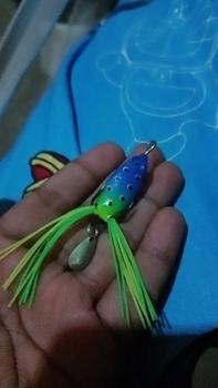Product Review of Umpan Mainan Daido Killer Frog 3/4cm from P**✌ 0