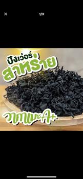 Product Review of สาหร่าย วากาเมะแห้งเกรดใบยอดอ่อน AAA จากธรรมชาติ 20/50/100/250 กรัม from อ**💘 0