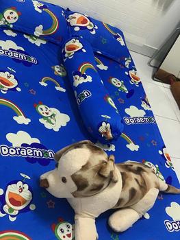 Product Review of bộ ga nệm thun lạnh hình doremon ( có ga lẻ) đủ kích thước from Ú** H** 0