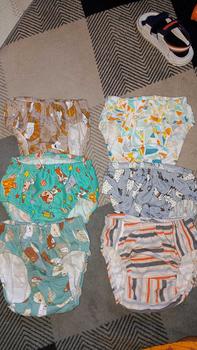 Product Review of 12 Pcs Celana Dalam Anak Laki-Laki dan Perempuan 1-6 tahun Motif dan Warna Lucu from N**i 1