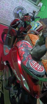 Product Review of Sarung Jok Motor Arvi 5 Dragon Elements Anti Cakar Kucing & Air motocrycle Motorcycle from c**o 2