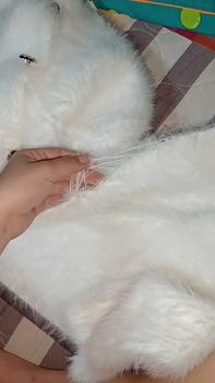 Product Review of Áo Khoác Len Cardigan Dệt Kim, Len Như Lông Chồn, Dành Cho Nữ, Phong Cách Hàn Quốc, Bộ Sưu Tập Mùa Xuân, Hàng Mới Về 2024, Ngắn, Hàng Châu Âu, Mềm Mại Và Nếp Women Top Trắng from E** N**🐒 0