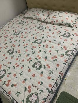 Product Review of [ 1 ga+ 2 vỏ gối nằm ] BỘ GA GỐI COTTON ĐŨI XƠ ĐẬU NÀNH HỮU CƠ trần bông thoáng khí. Gồm 1 ga trần bông + 2 vỏ áo gối 50x70. from N** C** C** ** 0