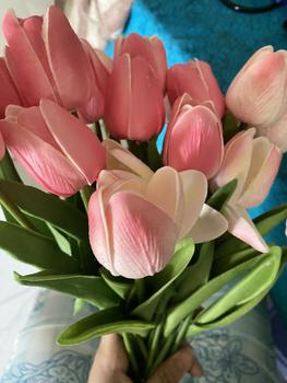 Product Review of [ 10 Bông ] Hoa Tulip Giả Decor Trang Trí Nhà Cửa Nhiều Màu Sắc 35cm - Duli.B Home from b**5 0