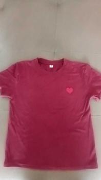 Product Review of Áo 3 Màu Thun Nữ Ôm Body Thêu Trái Tim - from H**g C** 0