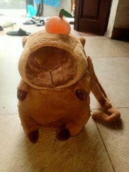 Product Review of Balo Capybara Lông Xù Dễ Thương Dùng Để Đi Học,Đi Chơi Siêu Xinh,Đáng Yêu Và Có Thể Làm Gấu Ôm TUNGVU from 阮**🪐 0
