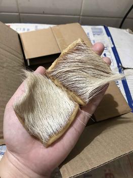 Product Review of Da trâu trắng ( trâu cò, trâu bạch) đã phơi khô, còn lông from M**5 2