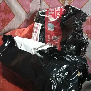 Benih Terong Ungu Panjang F1 - Benih Sayuran Seribuan