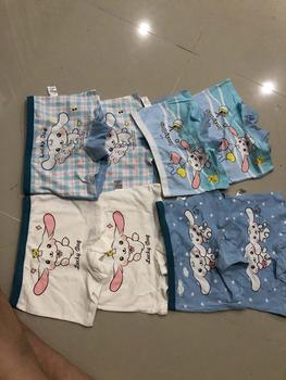 Product Review of กางเกงในเด็กผู้หญิงลายการ์ตูน ผ้าคอตตอล100% (แพ็ค4ชิ้น) from G**💰 1