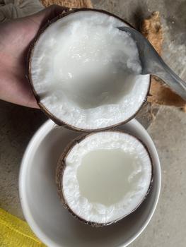 Product Review of Dừa Sáp Cầu Kè Loại 3 - Size Lớn (Trái 1.1Kg-1.2Kg) -  Chuẩn Sáp Loại 3​​ (Khô) from ☘** 2
