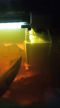 Product Review of Filter Aquarium Internal ukuran kecil dengan Pompa from L**c 1