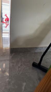 Product Review of COMBO Khung Sắt và Chậu Trồng Cây dài từ 48-60-67cm, Máng Trồng Rau Treo Ban Công, Chậu Dài trồng cây chung cư sân sườn from B**0 0