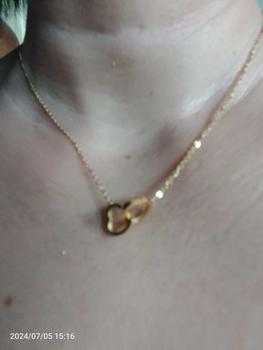 Product Review of Heart Necklace Stainless Steel  for Girls Accessories Korean Style Daily Chain from A**e R**a 0