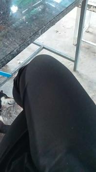 Product Review of Quần bigsize nữ cạp cao form baggy chất umi co giãn 4 chiều mặc thoải Pants Nhung Women from N** P** ** 0