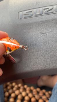 Product Review of Nhái Đốm Bản Chì Đúc Lưỡi Bkk Dây Rút  (Mua 2 con tặng 1 cá sắt VIB) - Action Nổi hoặc Chìm Fishing Đi Câu Bắt Cá Câu Cá Bắt Cá Câu Cá Đồng Bi mồicâu tắckè mồihơi tắckè from N**c l** 1