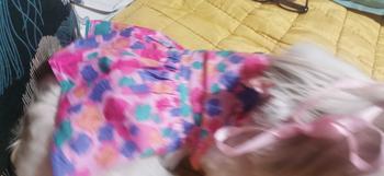 Product Review of Pet Dress Floral Pattern Pleated Hemming Windproof Pet Vest Puppy Flying Sleeve Clothes for Spring from l**0 0
