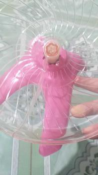 Product Review of Máy chạy bộ cho hamster, đĩa chạy thú nhỏ, đồ chơi thú nhỏ, dụng cụ thể thao cho thú cưng from l**n s**p 0