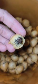 Product Review of 1kg sus coklat lumer premium soes coklat from l**e 0