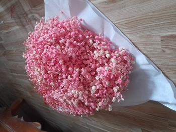 Product Review of Hoa Baby Khô 400g Decor Phòng Nhà Decor Bàn Trang Trí Nhà hoacầmtay côdâu from T**y Q**n L** H**e 1