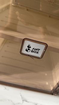 Product Review of 【ANTBOX】 Rak Sepatu 2Tingkat Transparan Kotak Sepatu Lipat Minimalis dari Akrilik untuk Penyimpanan Serbaguna Penyimpanan Lemari Sepatu Plastik Anti Debu dan Mudah Bongkar Pasang Kapasitas Besar 6Susun untuk Rumah dan Kantor Organizer Estetik dan Praktis! from R**y A**w P**a 1