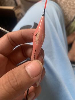 Product Review of Cần Chiến Thần 8H bản đối trọng săn hàng phân bổ 19i kèm ngọn trục phao thẻo đủ size 3m6-7m2 đòng đanh săn hang cho ae from Đ**g T**h C**7 2