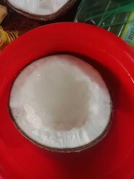 Product Review of Dừa Sáp Cầu Kè Loại 3 - Size Lớn (Trái 1.1Kg-1.2Kg) -  Chuẩn Sáp Loại 3​​ (Khô) from 👬**🐝 1