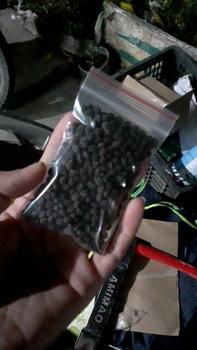 Product Review of 50k - 300 Hạt giống Đu đủ đực siêu hoa from C**c 0