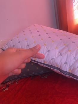 Product Review of Dofia [M01se] Anti-Bacterial Plush Hotel-Quality Pillow hot sales 1PC from Q**s 0