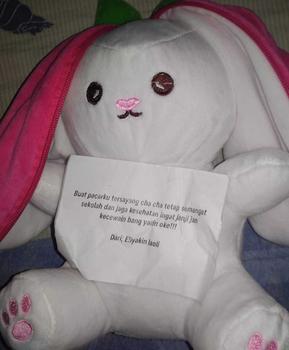 Product Review of Boneka kelinci strawberry wortel mainan viral flip lucu mewah telinga Dolls from u**6 0